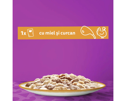 Mâncare pentru pisici cu miel și curcan într-o farfurie