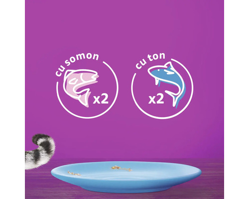 Hrană pentru pisici cu pește și ton