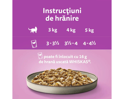 Instrucțiuni de hrănire pentru mâncare de pisici într-o farfurie