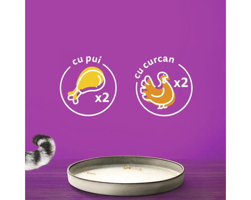 Ilustrație cu simboluri de pui și curcan lângă un castron gol cu mâncare pentru pisici