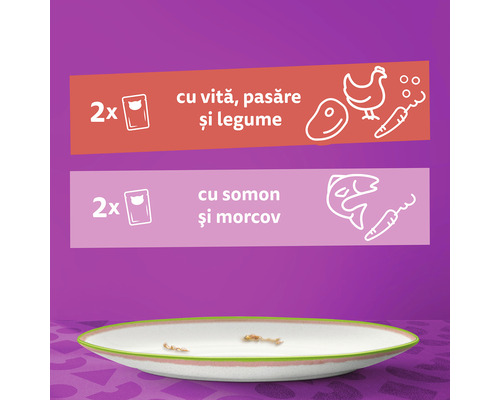 Hrană pentru pisici cu carne de vită, pasăre și legume, precum și cu somon și morcovi