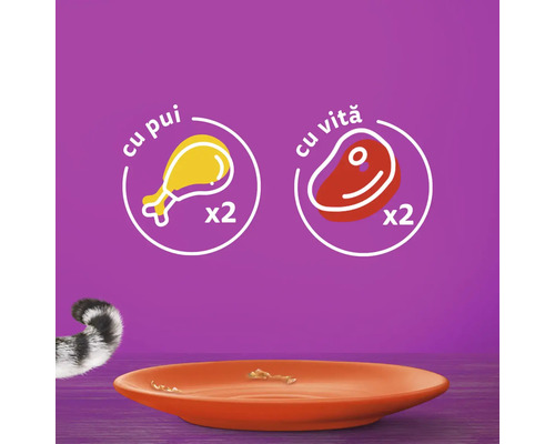 Simbol pentru hrană de pisici cu pui și vită