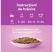 Instrucțiuni de hrănire pentru hrana pentru pisici