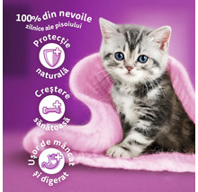 Hrană pentru pisici pentru pisoi