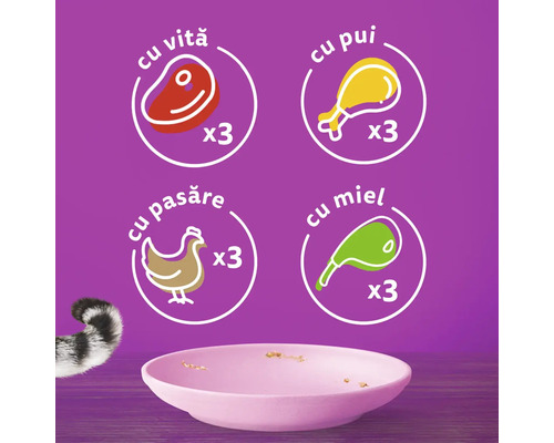 Ilustrație cu hrană pentru pisici cu carne de vită, pui, pasăre și miel