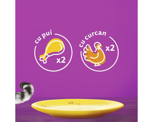 Hrană pentru pisici cu pui și curcan