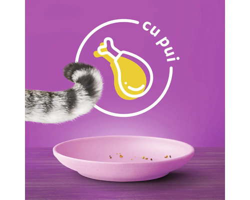 Hrană pentru pisici cu aromă de pasăre într-un bol cu coadă de pisică