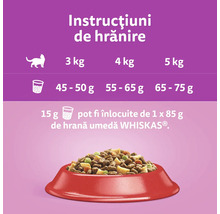 Hrană uscată pentru pisici Whiskas Adult cu vită 300 g-thumb-1