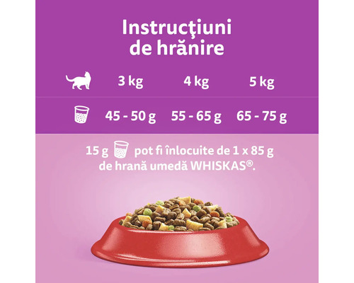 Instrucțiuni de hrănire pentru hrana pentru pisici într-un castron roșu