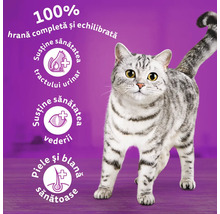Hrană uscată pentru pisici Whiskas Adult cu vită 300 g-thumb-5