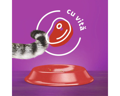 Hrană pentru pisici cu aromă de vită într-un bol roșu și coadă de pisică