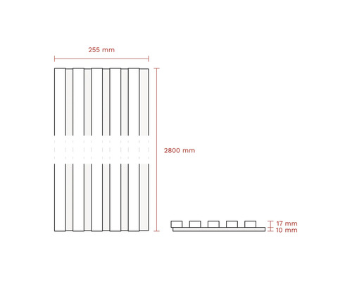 Desen tehnic al unui placaj de fațadă cu dimensiunile 255 mm lățime, 2800 mm lungime și 17 mm înălțimea elementelor superioare, precum și 10 mm înălțimea elementelor inferioare.