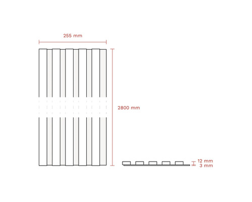 Diagramă a unei placări de fațadă cu dimensiunile de 255 mm lățime, 2800 mm lungime și 12 mm grosime