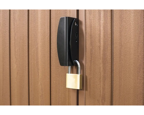 Imagine detaliată a unei uși de grădină cu încuietoare neagră și lacăt.