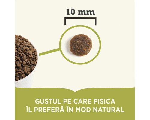 Pelete de hrană uscată pentru pisici cu diametrul de 10 milimetri