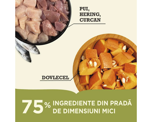 Ingrediente pentru hrana câinilor: pui, hering, curcan și dovleac