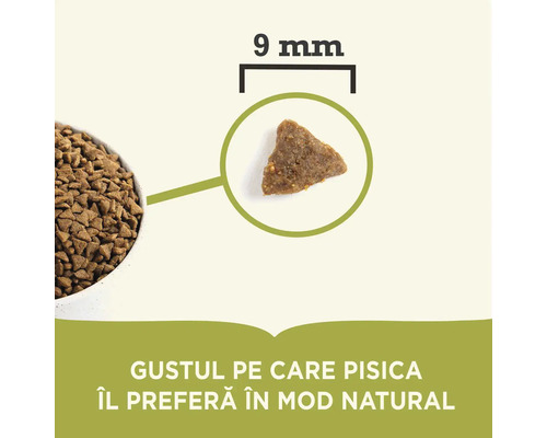 Ilustrație a dimensiunii bucăților de mâncare pentru pisici cu o dimensiune de 9 milimetri