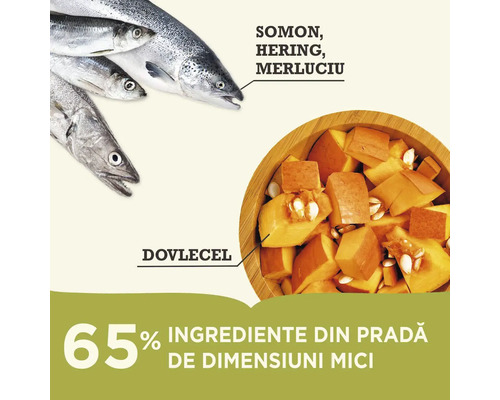 Ilustrație cu tipuri de pește, cum ar fi somon, hering și merluciu, precum și dovlecel ca ingrediente.