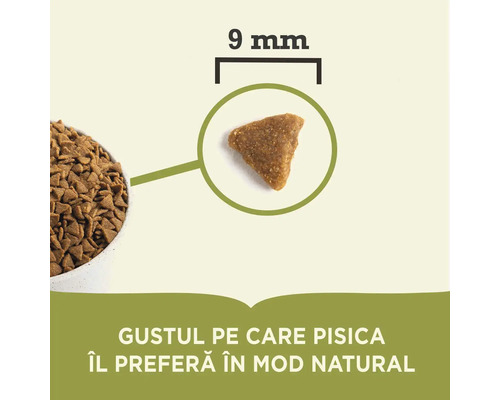 Bucată de mâncare uscată pentru pisici cu o dimensiune de 9 mm
