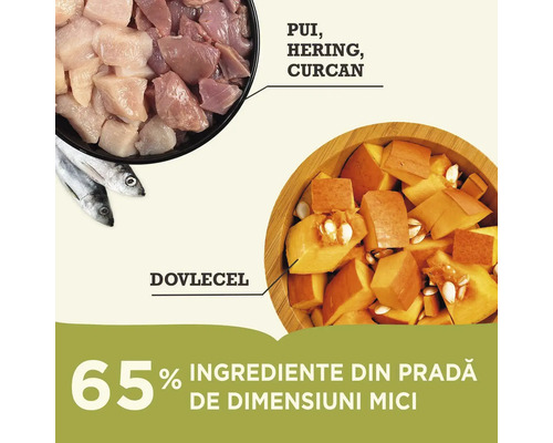 Ingrediente pentru hrană pentru animale: pui, hering, dovleac