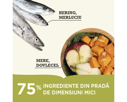 Hrană pentru pești cu hering, merluciu, mere și dovleac.