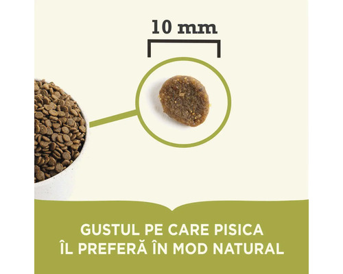 Mâncare uscată pentru pisici, granule de mărimea 10 milimetri