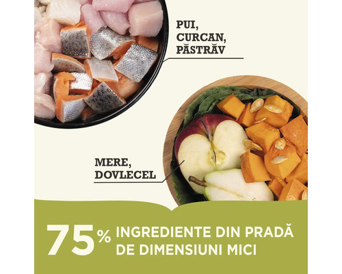 Ingrediente pentru hrana câinilor: carne de pasăre, curcan, păstrăv, măr și dovleac