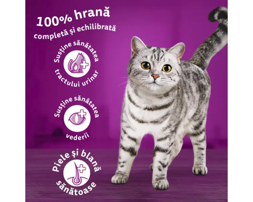 Hrană pentru pisici pentru a susține tractul urinar, vederea și pielea și blana.