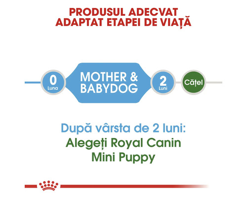 Recomandări de hrănire Royal Canin pentru mamă și pui