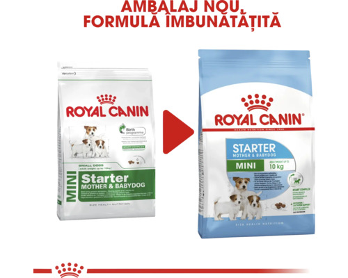 Comparație hrană uscată Royal Canin Mini Starter Mother and Babydog