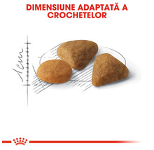 Reprezentarea dimensiunii crochetelor