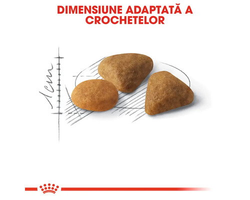 Reprezentarea dimensiunii crochetelor