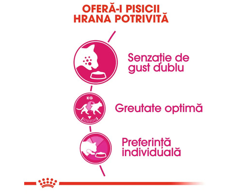 Offers for cats, suitable food, double taste, optimal weight, individual preference