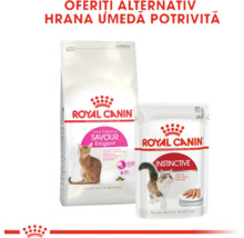 Hrană uscată și umedă pentru pisici Royal Canin