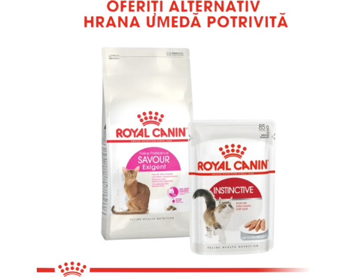 Hrană uscată și umedă pentru pisici Royal Canin