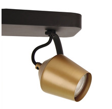 Lumină de plafon aurie cu spot reglabil