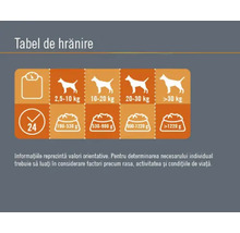Hrană umedă pentru câini FINEVO Active cu pui și morcov 800 g-thumb-2 Hrană umedă pentru câini FINEVO Active cu pui și morcov 800 g-thumb-2