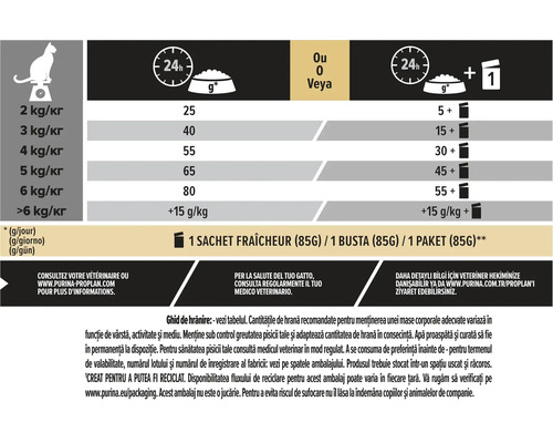 Ghid de hrănire pentru pisici în funcție de greutate și tipul de hrană