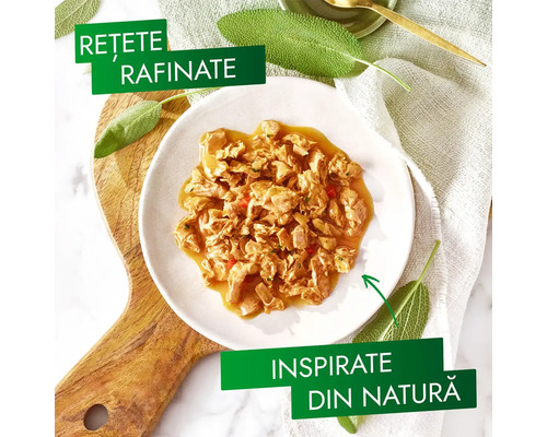 Hrană pentru pisici cu ton pe o farfurie