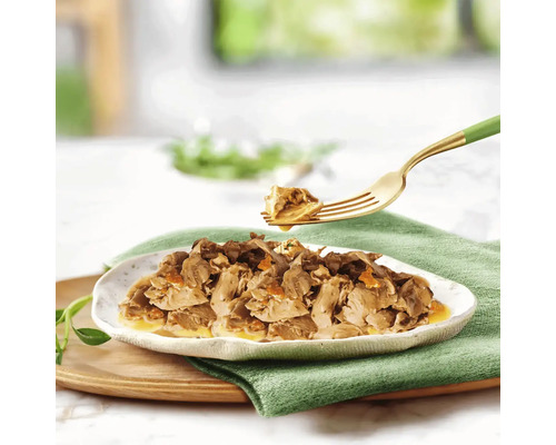 Hrană pentru pisici cu bucăți de carne într-o farfurie