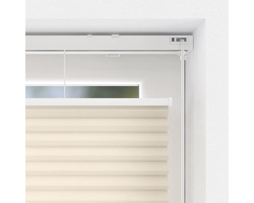 Pliseu la fereastră