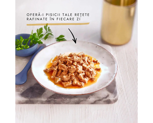 Hrană pentru pisici cu carne într-o farfurie