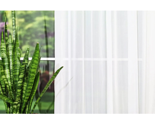 Fereastră cu perdea și plantă de interior