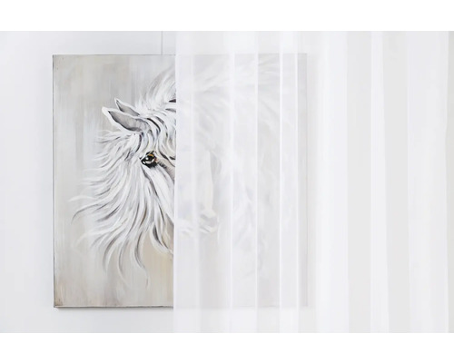 Pictură cu imagine de cal în spatele unei perdele transparente