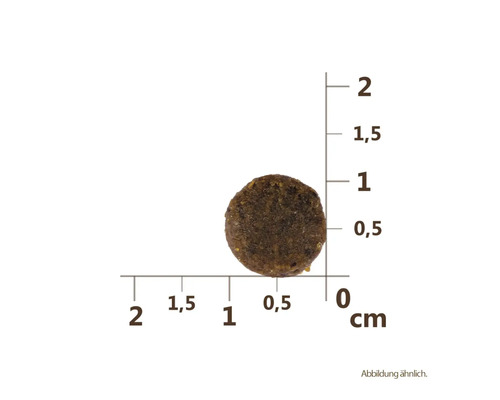O singură bucată rotundă de hrană uscată cu indicație de dimensiune în centimetri