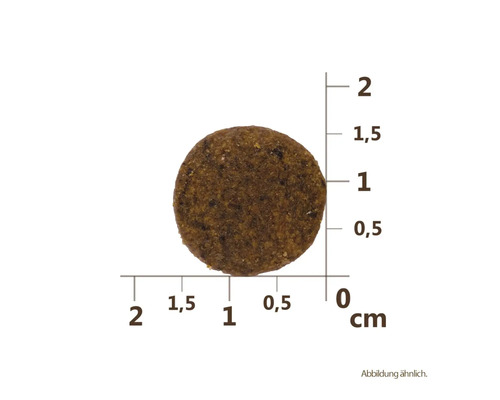 O bucată individuală de hrană pentru câini cu o scală de măsurare în centimetri pentru indicarea dimensiunii.