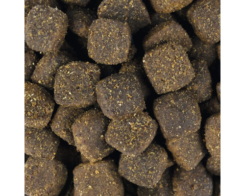 Prim-plan cu mâncare uscată pentru câini