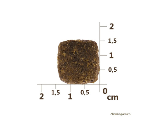 O singură bucată de hrană uscată cu specificații în centimetri