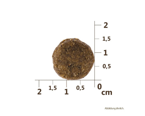 O bucată individuală de hrană pentru câini cu indicarea dimensiunii în centimetri