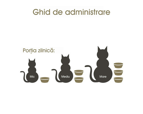 Ghid de administrare pentru pisici cu indicații de dimensiune.
